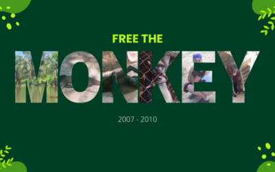 Free The Monkey