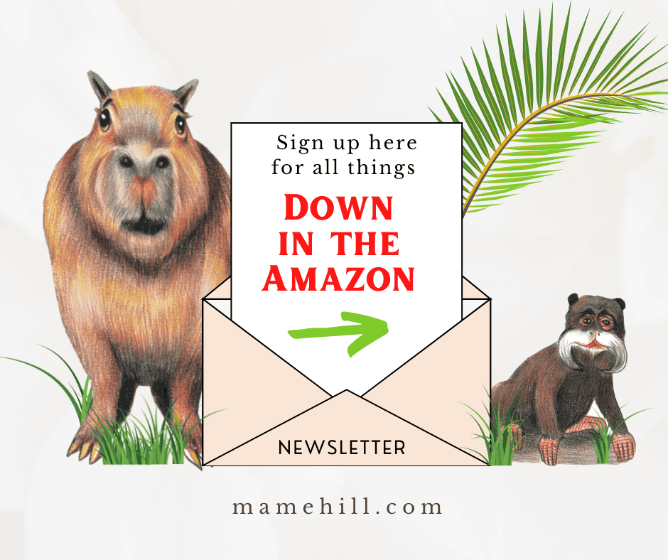 Pink Green Modern Animated Newsletter Sign up Facebook Post Newsletter sign up graphic